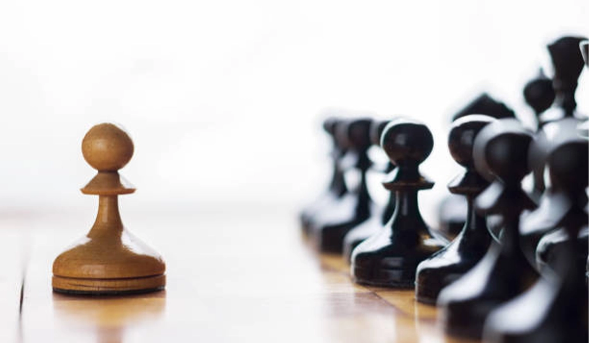 Acacia Stallion Chess Pieces in Belfast