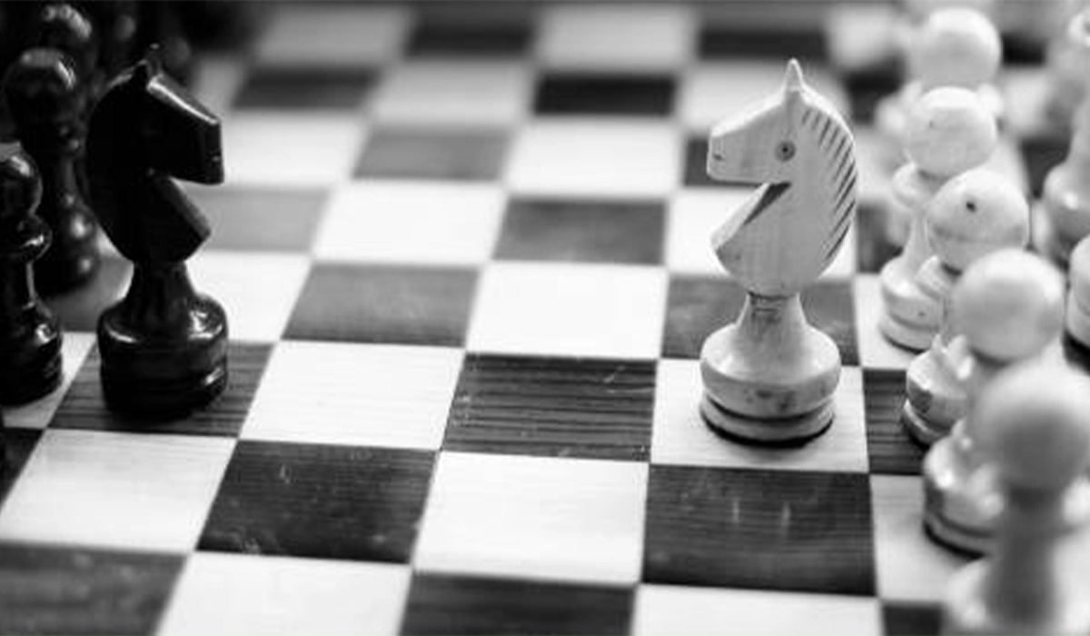 Stallion Acacia Chess Pieces in Edinburgh